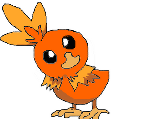 torchic