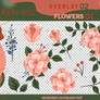 Overlays 02 - Flowers 01