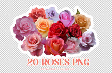 20 Roses Png