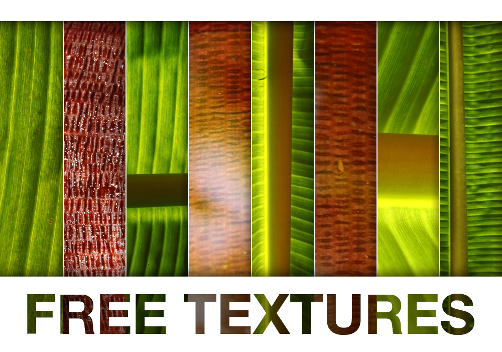 BANANIC - free texture pack