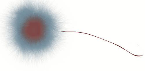 Coronal Mass Ejection