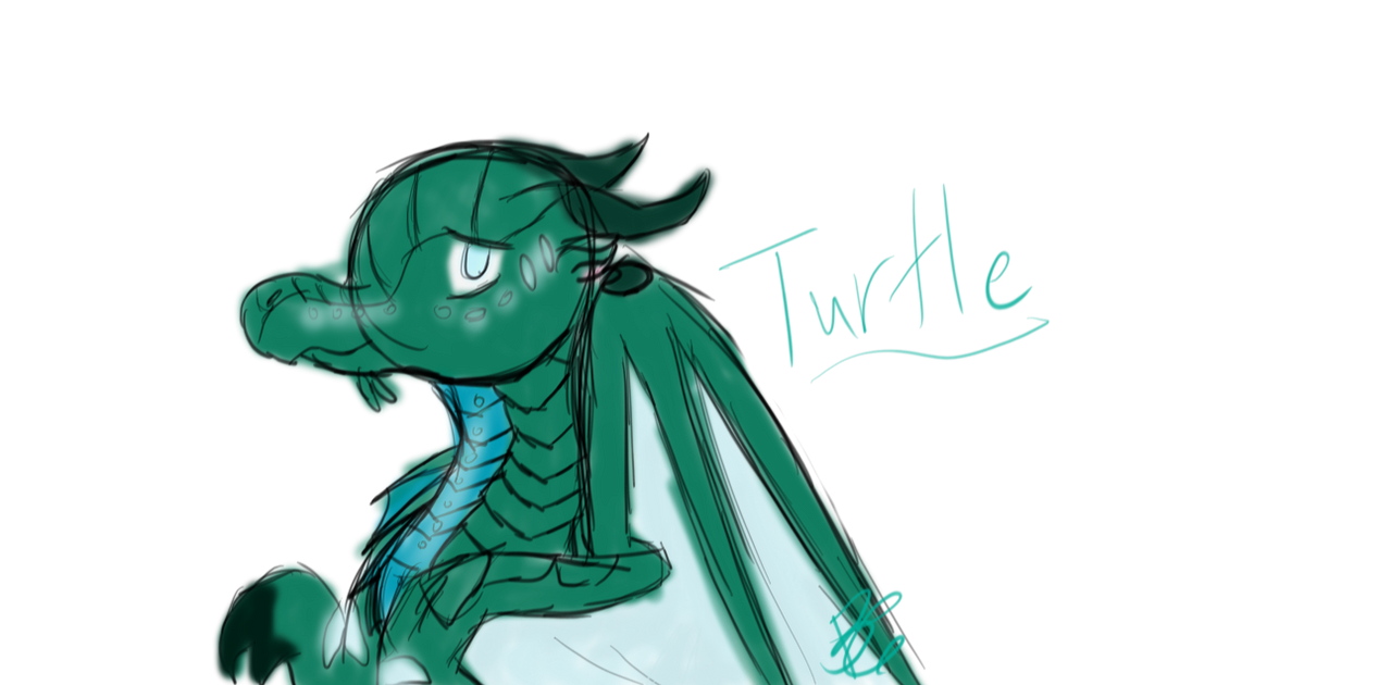 Turtle by Noonatic on DeviantArt