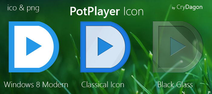 Daum PotPlayer Icon Desktop