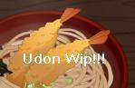 Udon wip