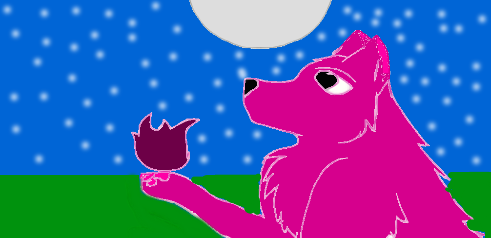 wolf ( redraw of my first drawing)