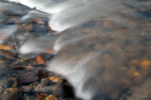 Stony Brook