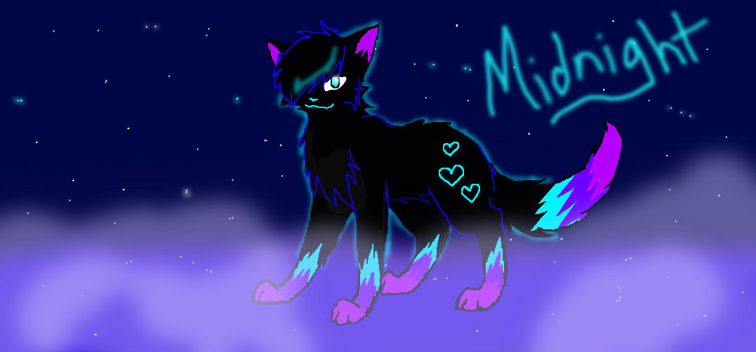 Midnight - new character by ToxicKltty on DeviantArt