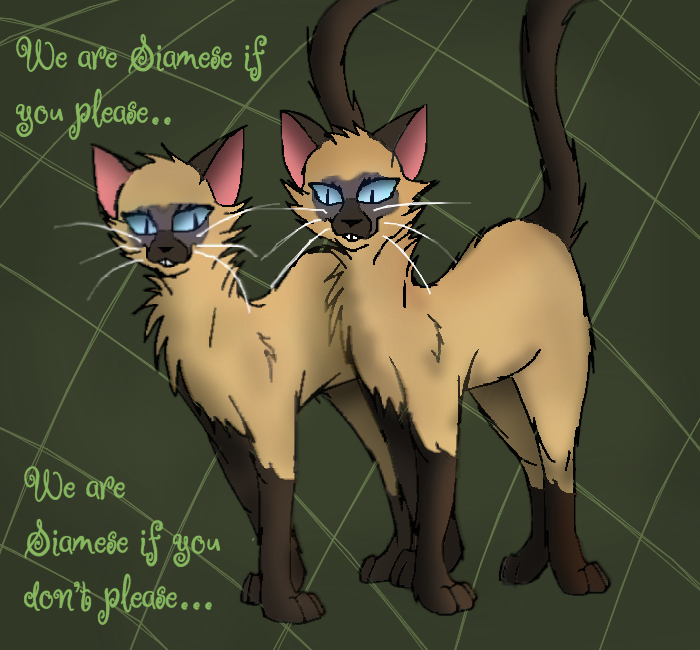 The Siamese Cats by ToxicKltty on DeviantArt