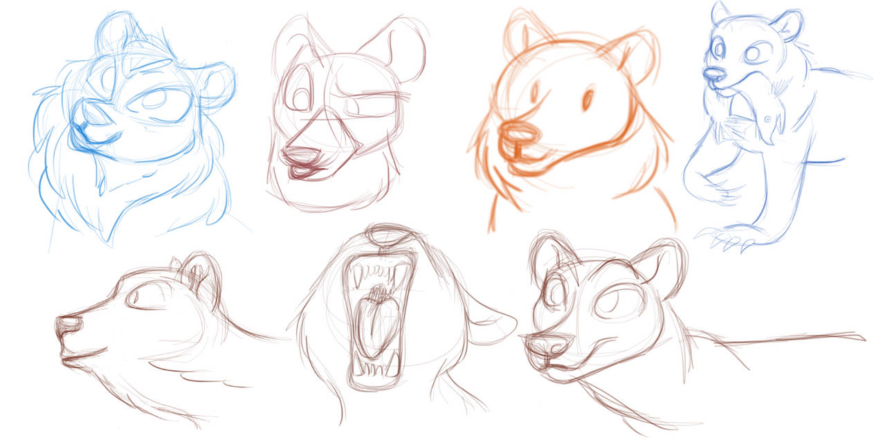 bears sketchs by fluffyartpop on DeviantArt