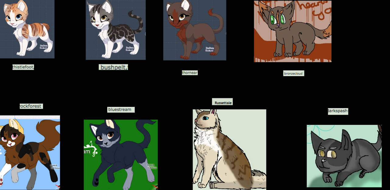 My Warrior Ocs To Be Updated By Joeyponyy On Deviantart My Warrior Ocs To Be Updated By Joeyponyy On Deviantart