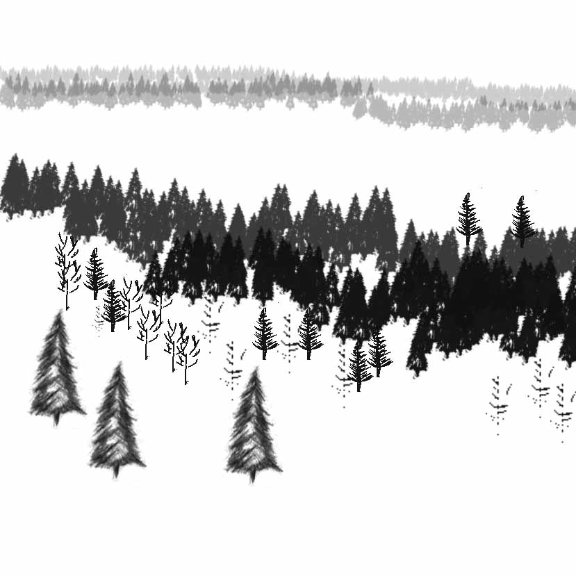 Winter Trees Brushes