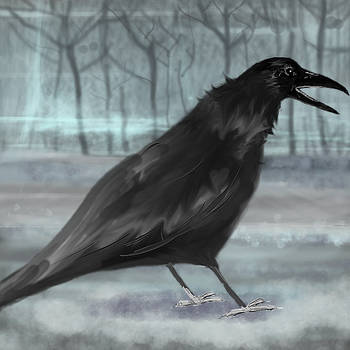 Raven on a Surrealistic Decor by philippeL