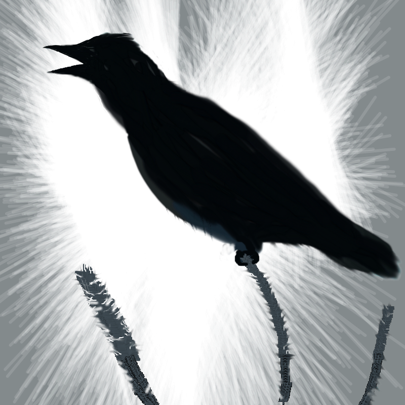 Gloomy Silhouette of a Raven