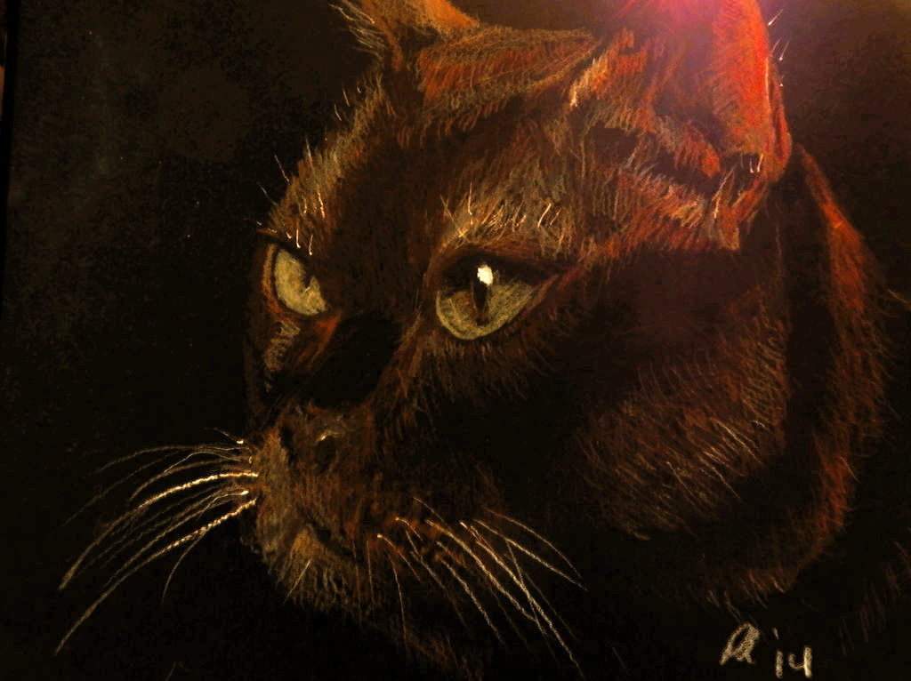 Dark Cat on Black Board by philippeL