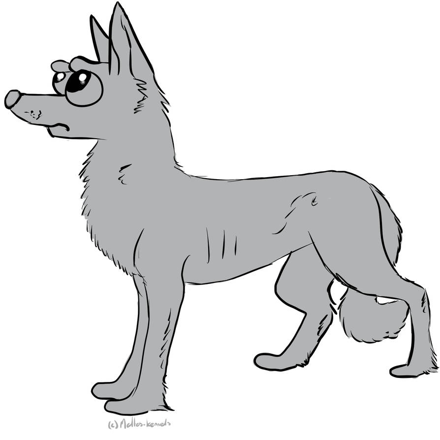 Free Greenland Hound Lineart by MaltesKennels on DeviantArt