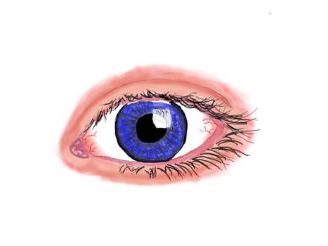 Digital Eye Sketch