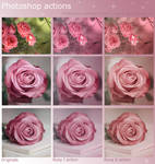 Rosy Photoshop Actions - FREE
