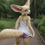Fennec tease