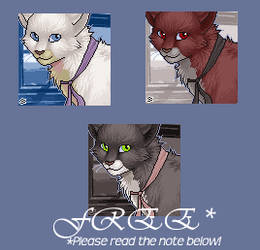 Portrait :: FREE Catten - MorF by StormyChaos