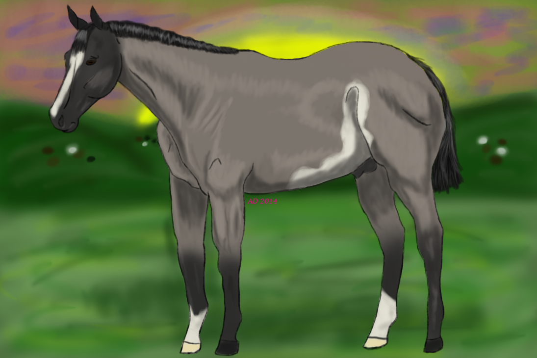 BRS Poco's Misbehavin' Sky Stars Old Ref