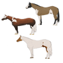 Specialized horse designs