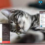 ZScat for Win7