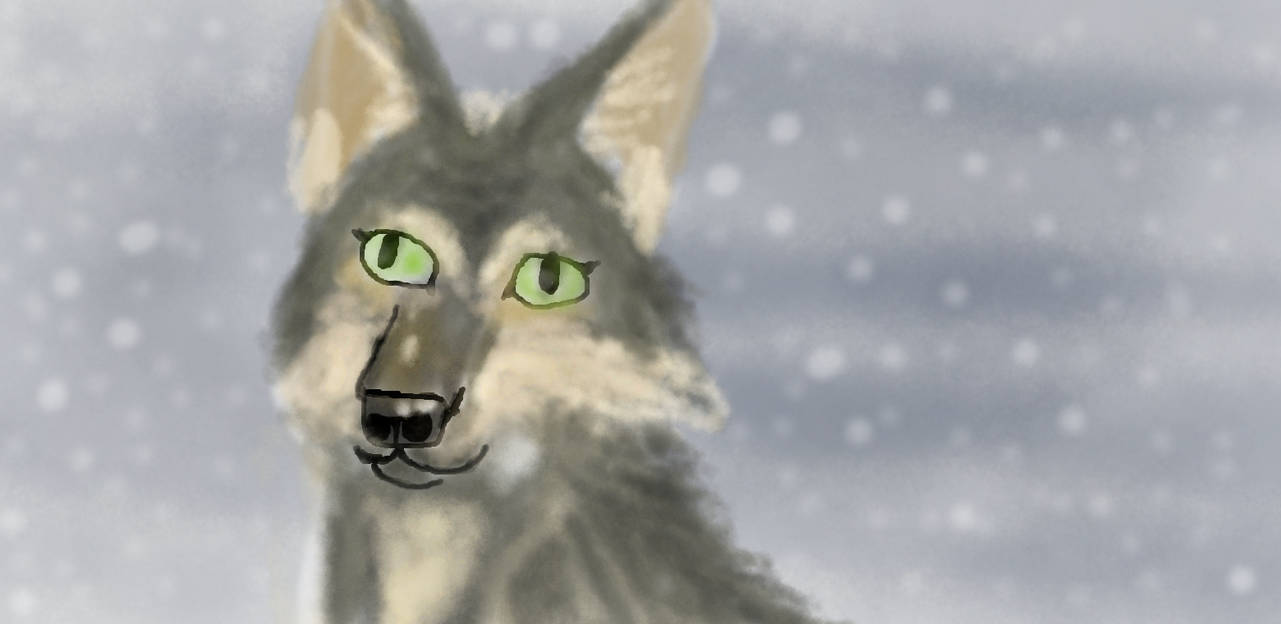 Out in the snow! by RockAndHuman on DeviantArt