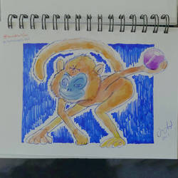 Day 22: Gee's golden langur