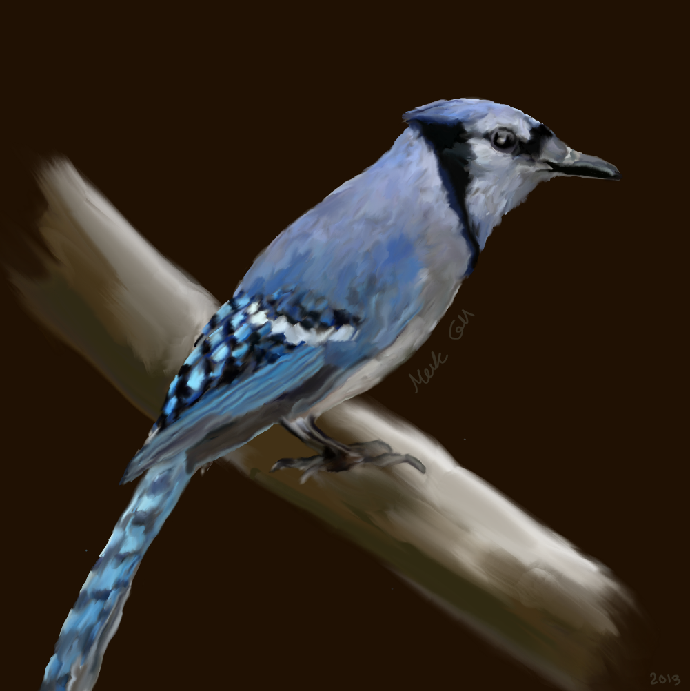 BlueJay