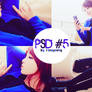 [030913] PSD #5