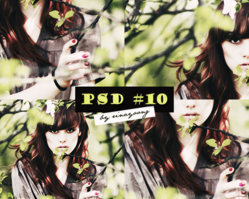 [110614] PSD #10