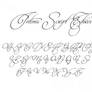 Intima Script Three