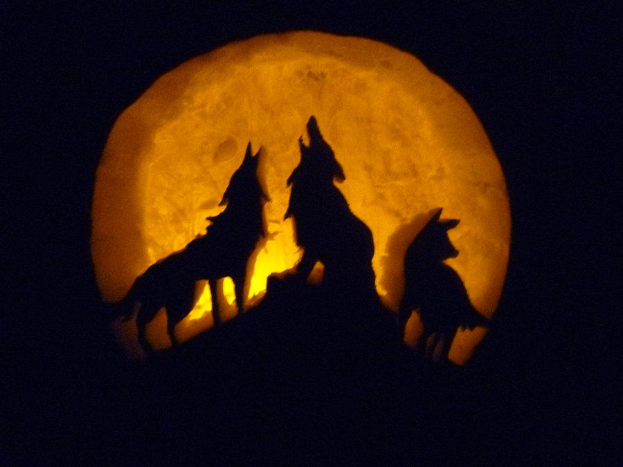 хэллоуин волк. волк оборотень хэллоуин. хэллоуинские волки. хэллоуинские волки. хэллоуинские волки.