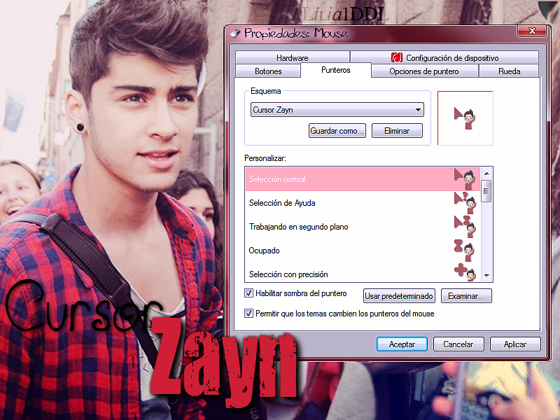 Cursor Zayn