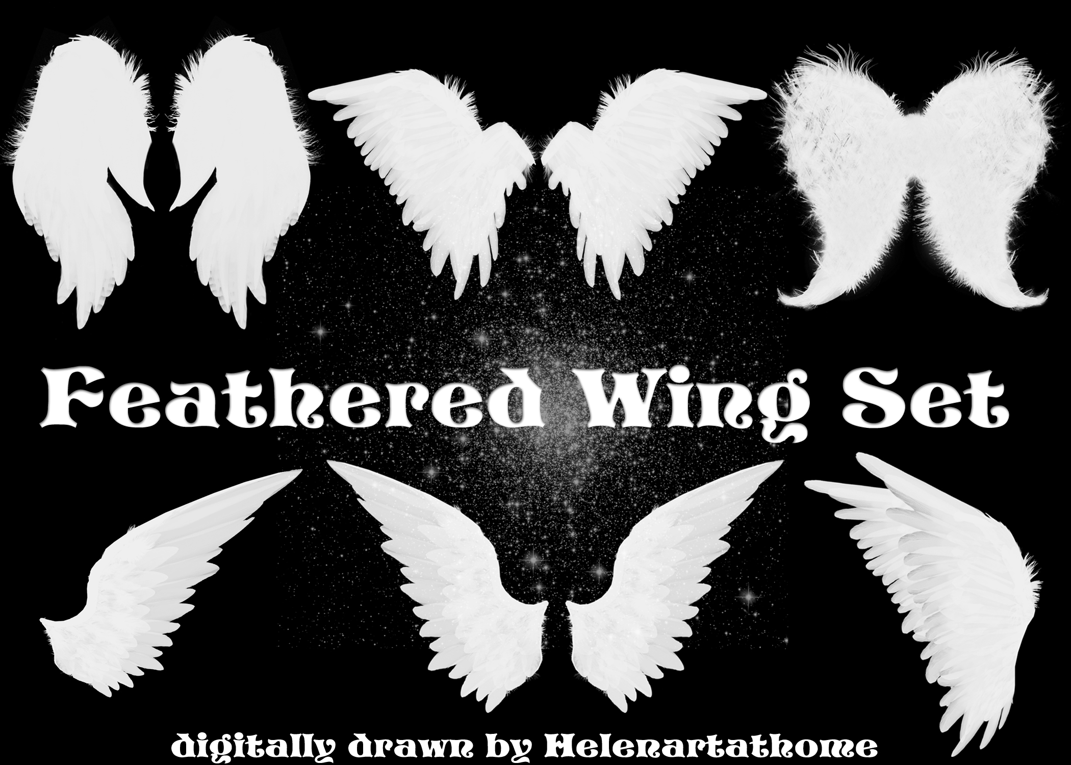 Feathered Wing Set