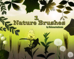 Nature Brushes