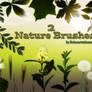 Nature Brushes2