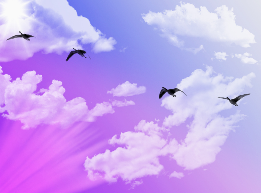 Cloud and Ray Brushes