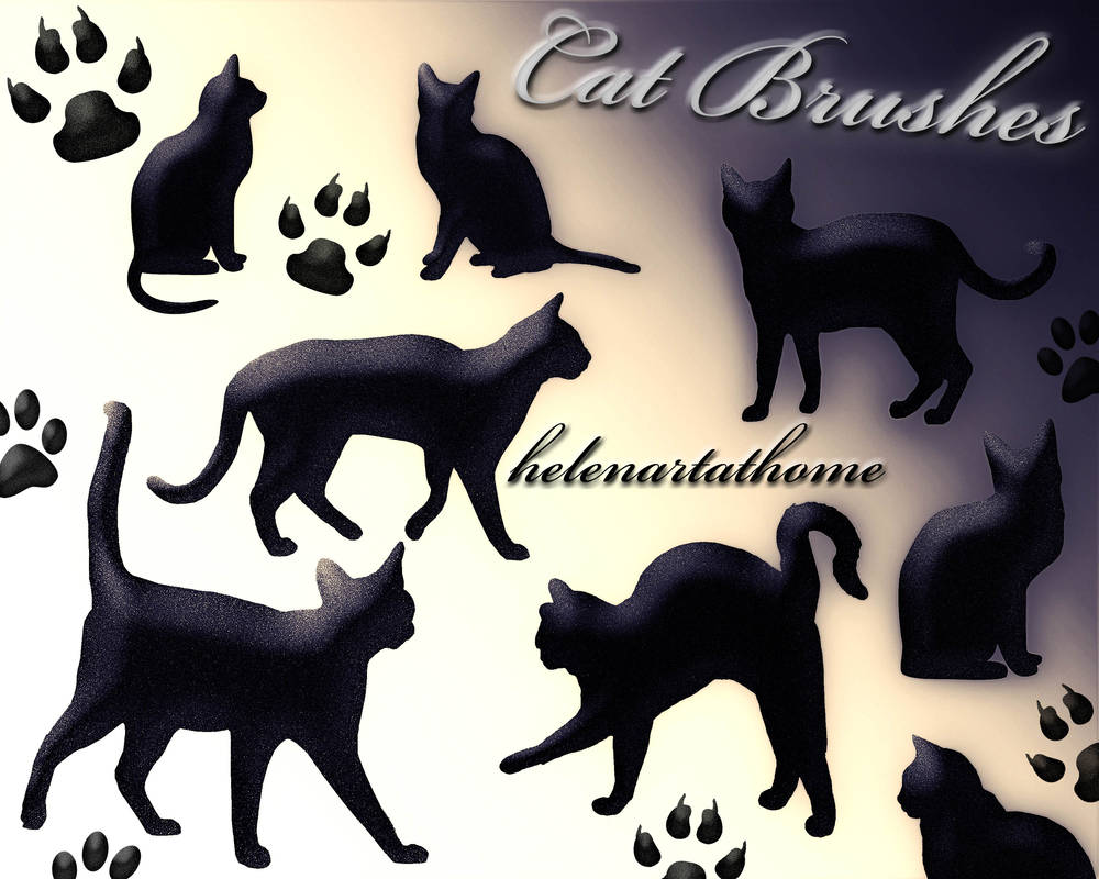 Cat Brushes by Helenartathome on DeviantArt