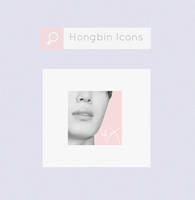 hongbin  icons