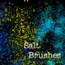 Salt Brushes
