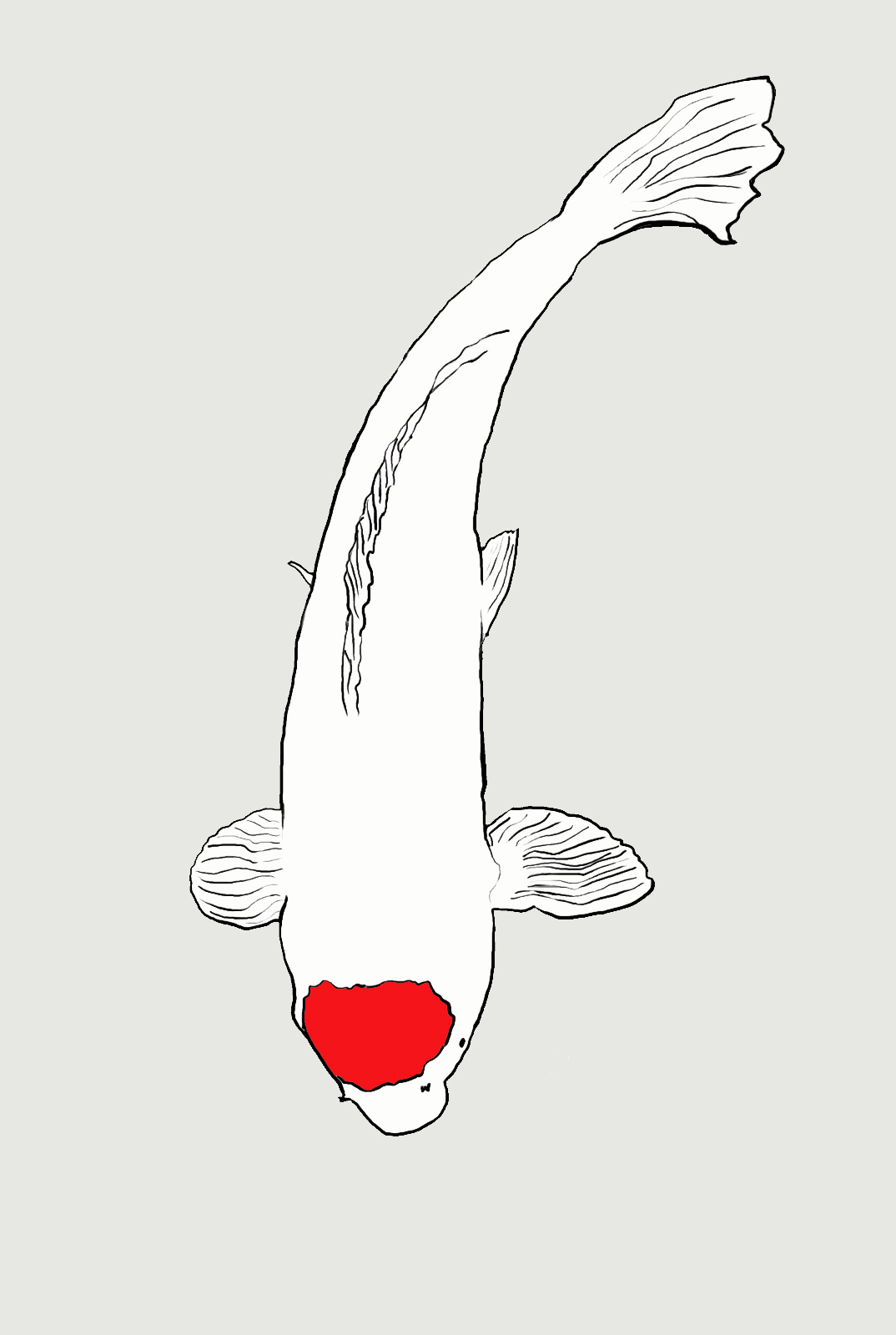 Tancho koi fish by cavebearqueen on DeviantArt