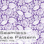 Seamless Transparent Lace Pattern (PNG/PSD)