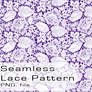 Seamless Transparent Lace Pattern (PNG/PSD)