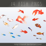 Fish PNGs