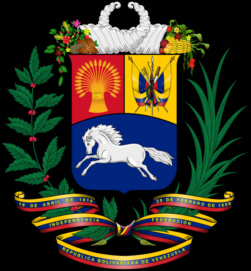 0 Result Images of Escudo De Venezuela De Futbol PNG Image Collection