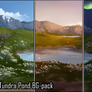 Background set - The Tundra Pond