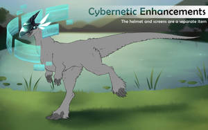 Cybernetic Enhancement