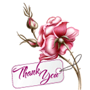 Thank-you by KmyGraphic