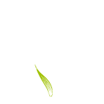 GreenHeart by KmyGraphic